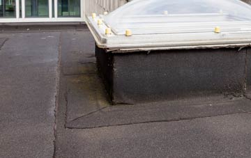 disadvantages of Eskbank flat roofs