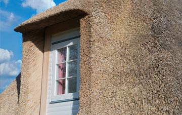 Eskbank thatch roof disadvantages